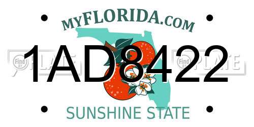 1AD8422 Florida License Plate