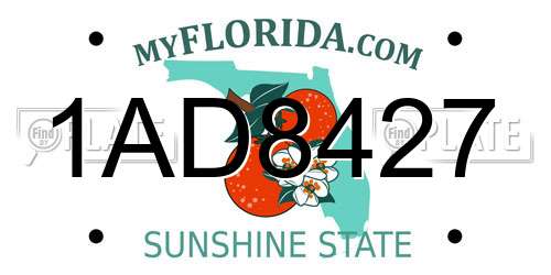 1AD8427 Florida License Plate