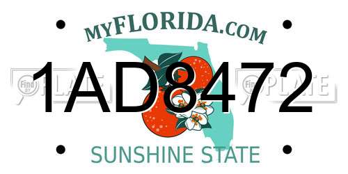 1AD8472 Florida License Plate