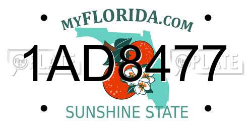 1AD8477 Florida License Plate