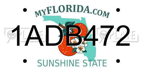 1ADB472 Florida License Plate