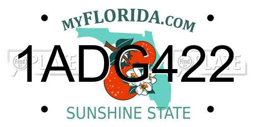 1ADG422 Florida License Plate