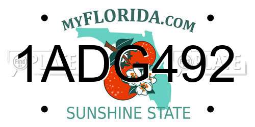 1ADG492 Florida License Plate