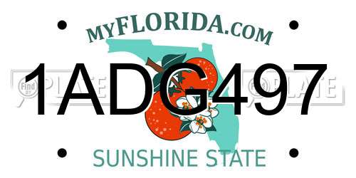 1ADG497 Florida License Plate