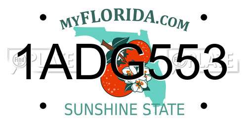1ADG553 Florida License Plate