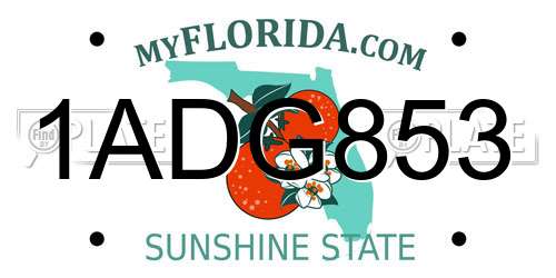 1ADG853 Florida License Plate
