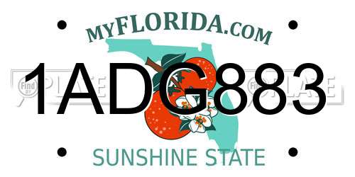 1ADG883 Florida License Plate