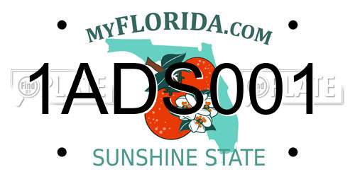 1ADS001 Florida License Plate
