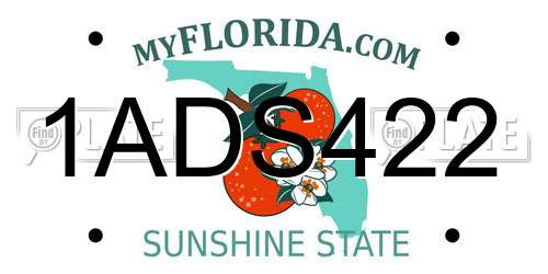 1ADS422 Florida License Plate