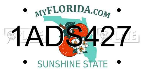 1ADS427 Florida License Plate