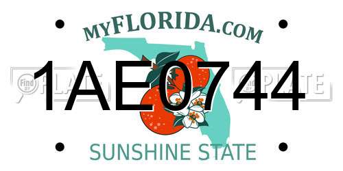 1AE0744 Florida License Plate