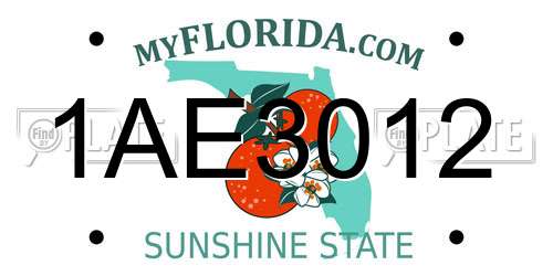1AE3012 Florida License Plate