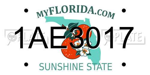 1AE3017 Florida License Plate