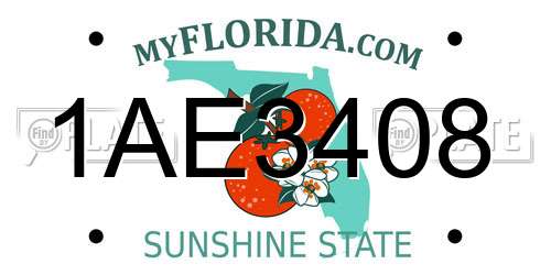 1AE3408 Florida License Plate