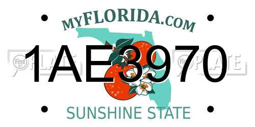 1AE3970 Florida License Plate
