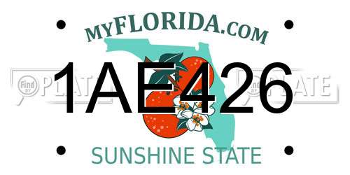1AE426 Florida License Plate