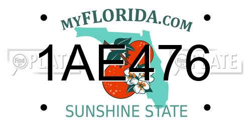 1AE476 Florida License Plate