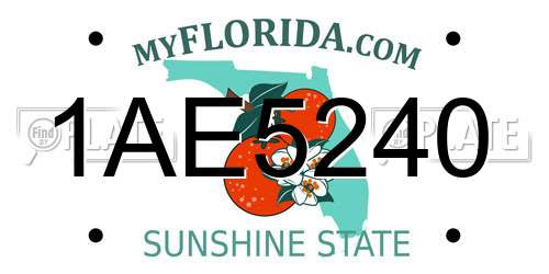 1AE5240 Florida License Plate