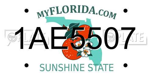 1AE5507 Florida License Plate