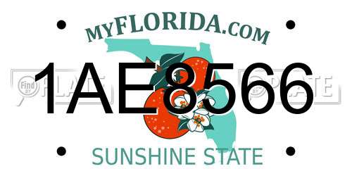 1AE8566 Florida License Plate
