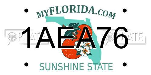 1AEA76 Florida License Plate