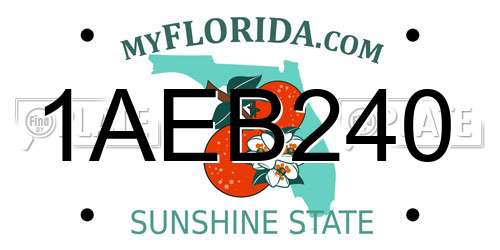 1AEB240 Florida License Plate