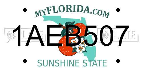 1AEB507 Florida License Plate
