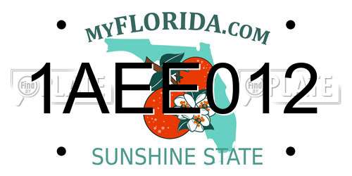 1AEE012 Florida License Plate
