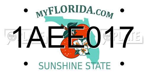 1AEE017 Florida License Plate