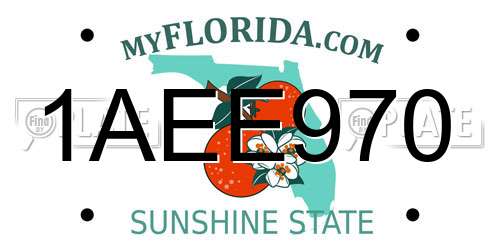 1AEE970 Florida License Plate