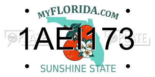 1AEI173 Florida License Plate
