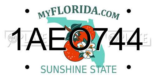 1AEO744 Florida License Plate