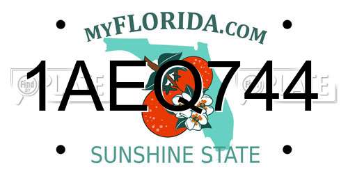 1AEQ744 Florida License Plate