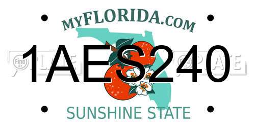 1AES240 Florida License Plate