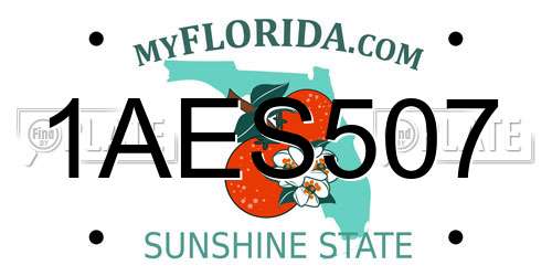 1AES507 Florida License Plate