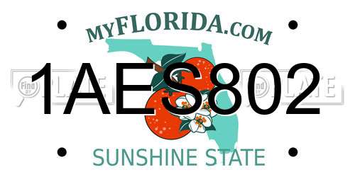 1AES802 Florida License Plate