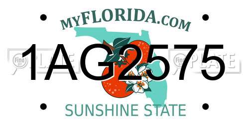 1AG2575 Florida License Plate