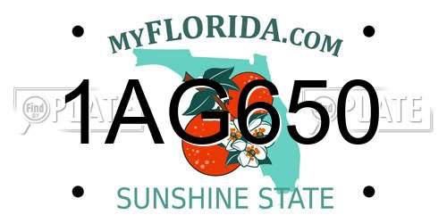 1AG650 Florida License Plate