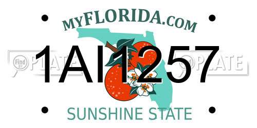 1AI1257 Florida License Plate