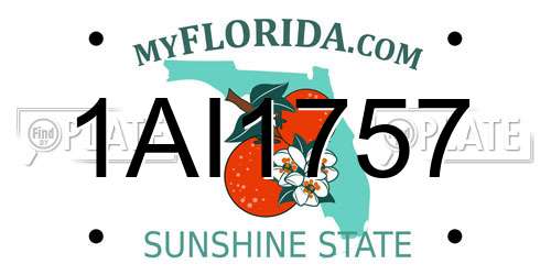 1AI1757 Florida License Plate