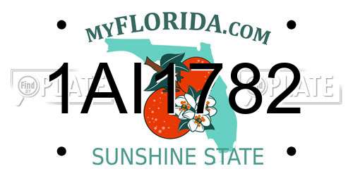1AI1782 Florida License Plate