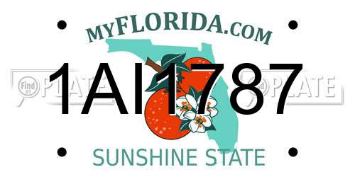 1AI1787 Florida License Plate