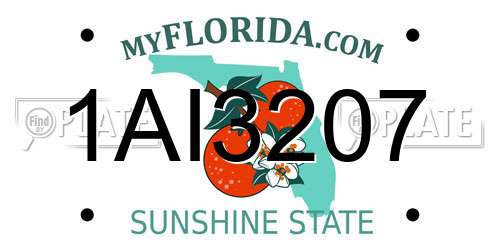 1AI3207 Florida License Plate