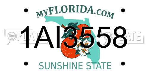1AI3558 Florida License Plate