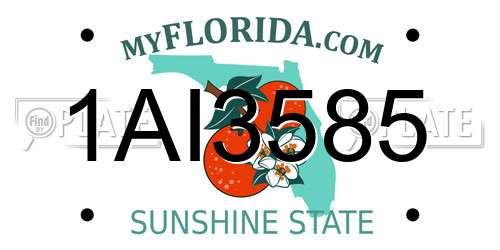 1AI3585 Florida License Plate