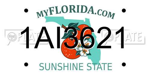 1AI3621 Florida License Plate