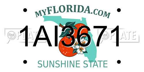 1AI3671 Florida License Plate