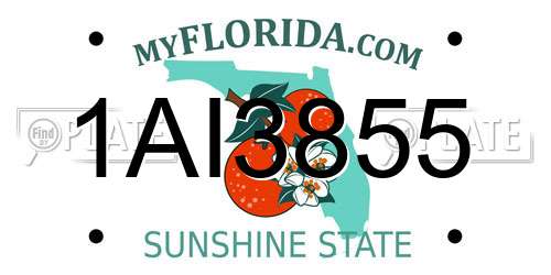 1AI3855 Florida License Plate