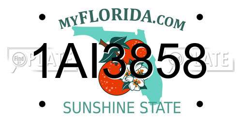 1AI3858 Florida License Plate