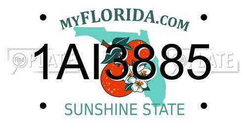 1AI3885 Florida License Plate